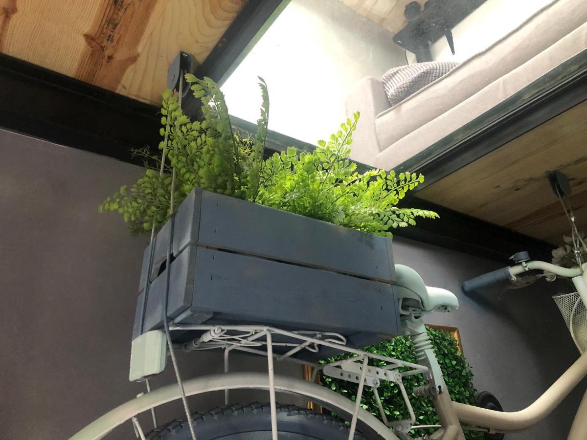 Casa Rural Atelier - Jardin Y Terraza Velliza Kültér fotó